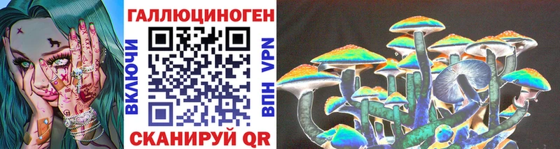 где продают наркотики  Кукмор  Галлюциногенные грибы Psilocybe 
